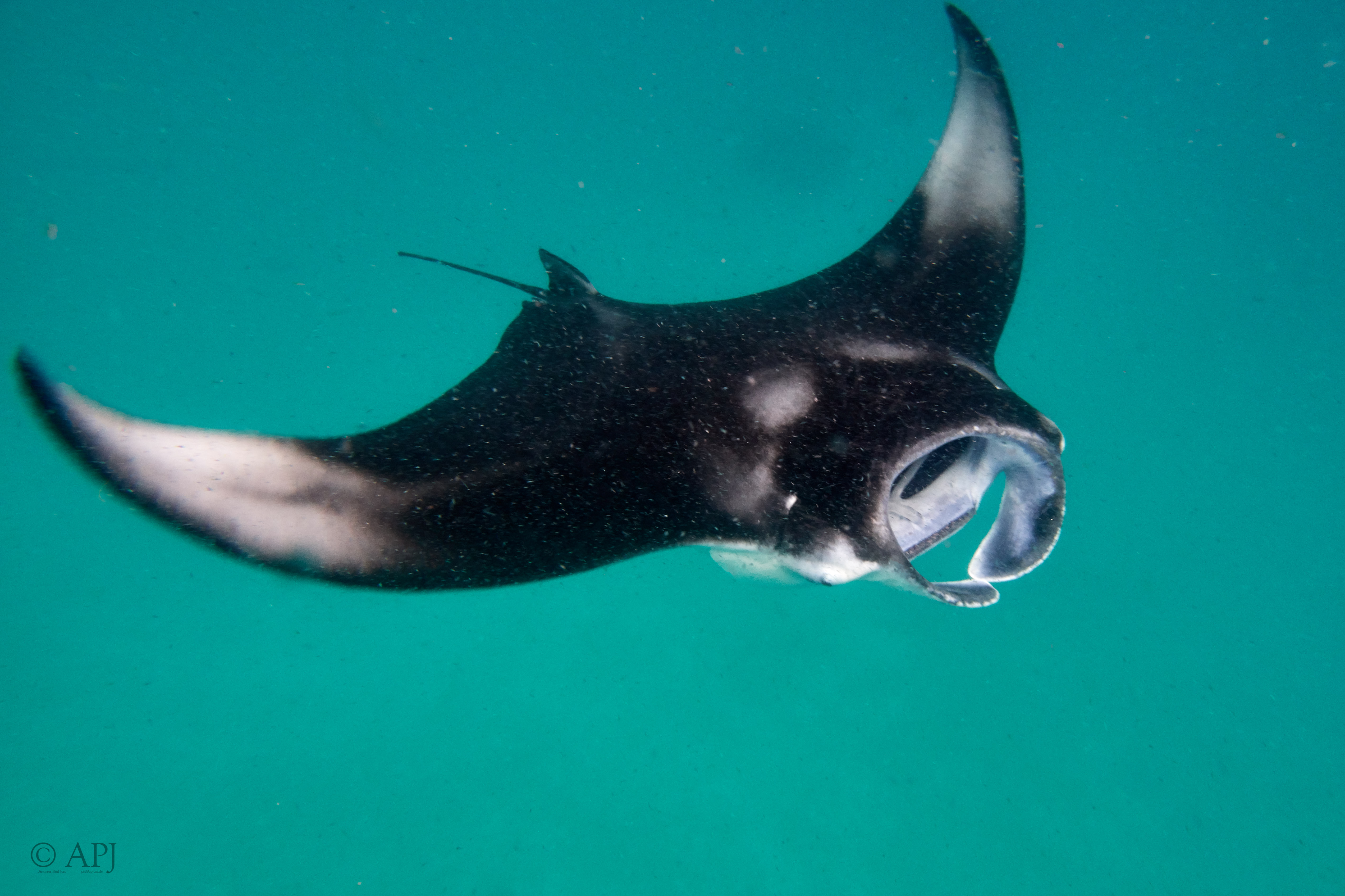 002354 17 08 17  Canon PowerShot G7 X Mark II   Malediven2017